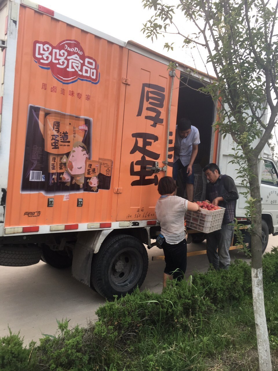 新闻义工团▏购买爱心桃，有两种打开方式