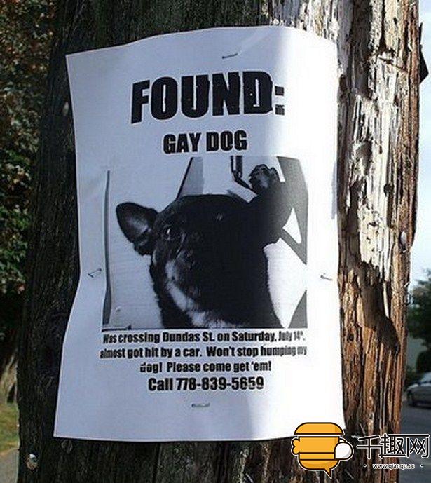 奇葩的招聘启事,招领启事有哪些