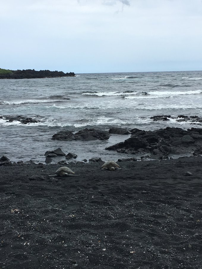 没有意外是哪句电影台词,夏威夷旅行说明