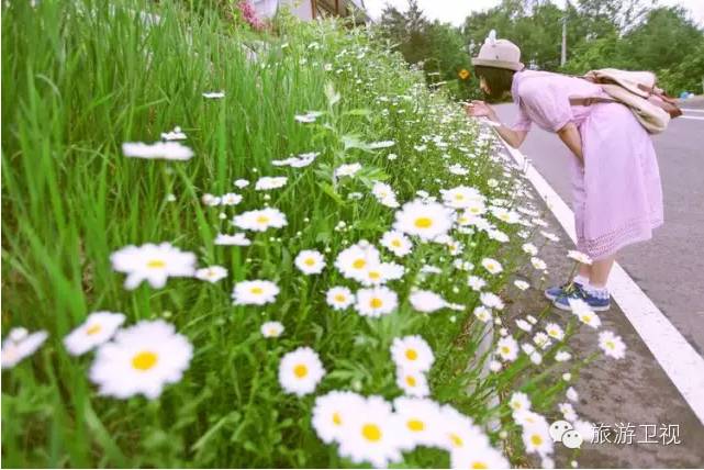 胡歌霍建华最美的场景视频,胡歌霍建华冬天游玩