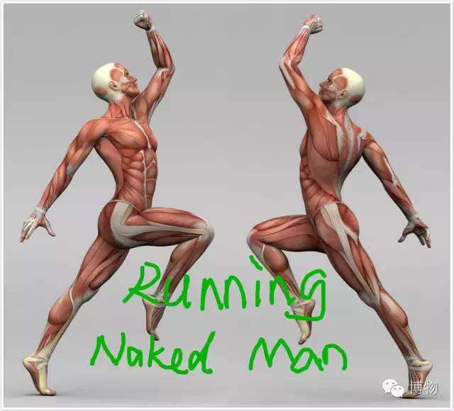 ogm真的好用吗,ogm是什么牌子