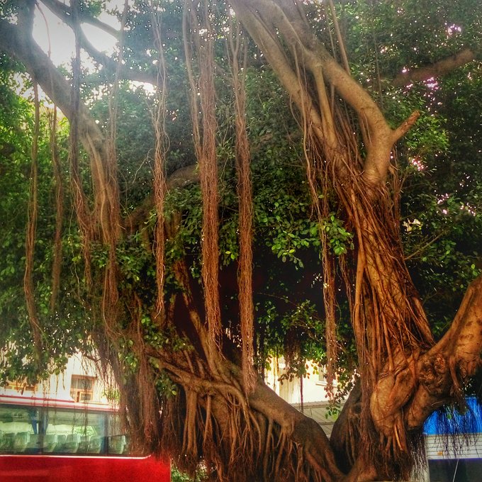 跟团从南宁到北海,越南北海跟团游