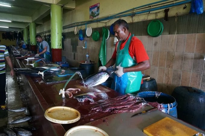 马尔代夫马富施岛,马尔代夫7日游不含机票