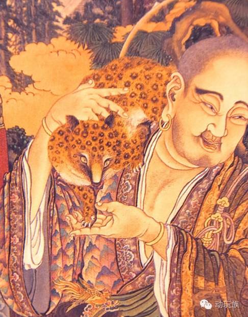 精灵宝可梦图鉴第55期,宝可梦图鉴807只精灵