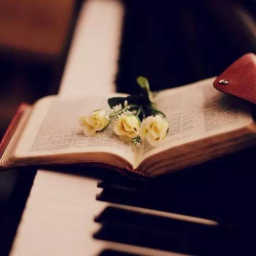 摄影师和设计师合作,设计师怎么和工程师合作