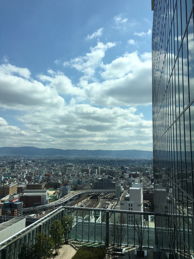 16年的大阪,京都樱花2016