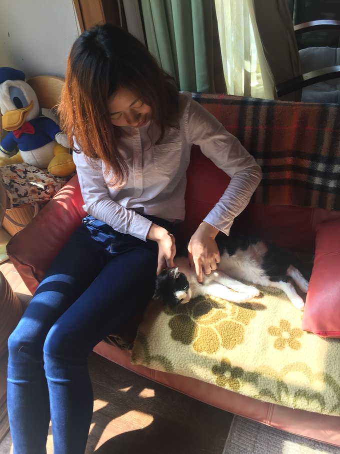 16年的大阪,京都樱花2016