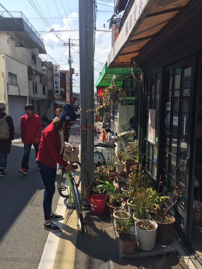 16年的大阪,京都樱花2016