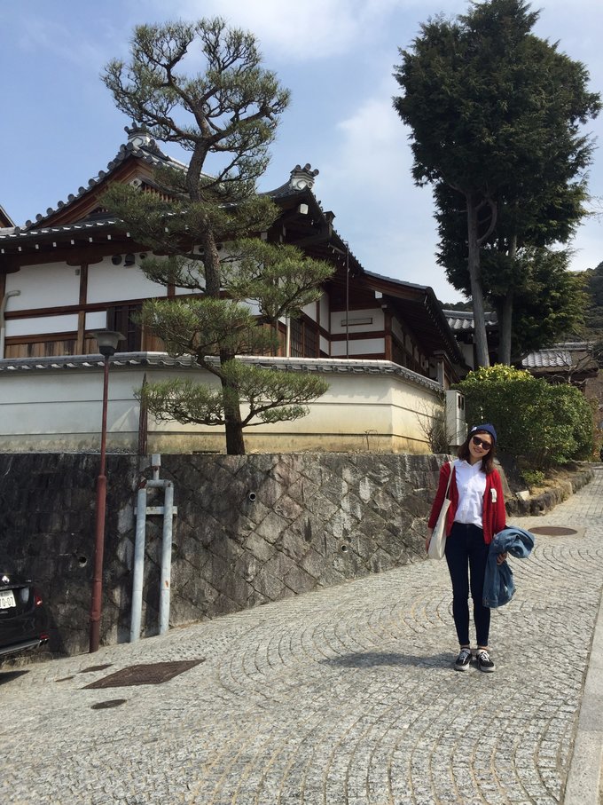 16年的大阪,京都樱花2016