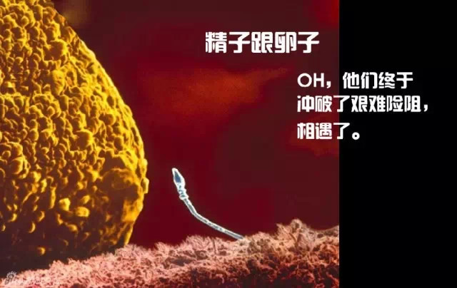 造人计划之前必须要做的几件事,造人是个很辛苦的事情