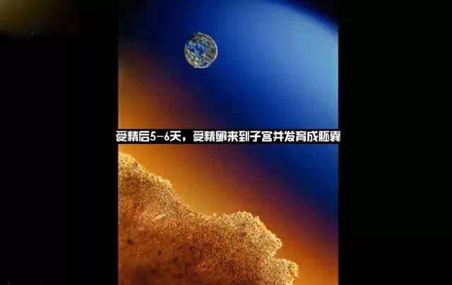 造人计划之前必须要做的几件事,造人是个很辛苦的事情