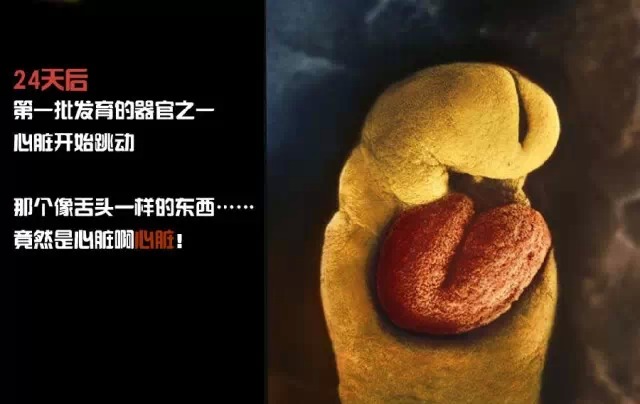 造人计划之前必须要做的几件事,造人是个很辛苦的事情