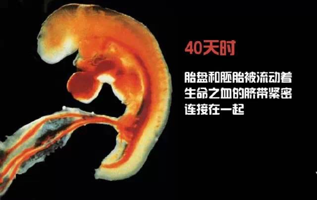 造人计划之前必须要做的几件事,造人是个很辛苦的事情