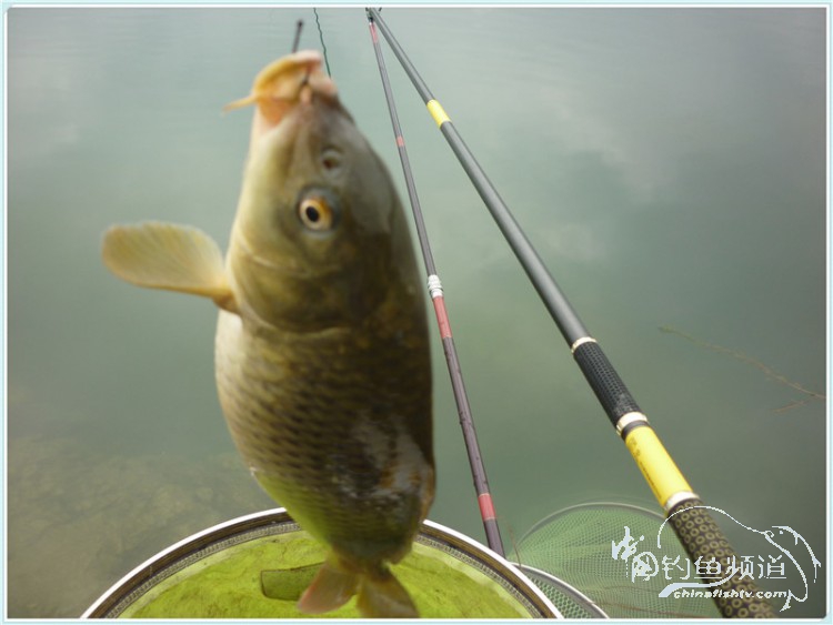 游钓中国丹江口市之行,游钓丹江300天