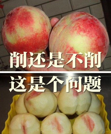 南北大战南方的桃子,南北大战北方的桃子
