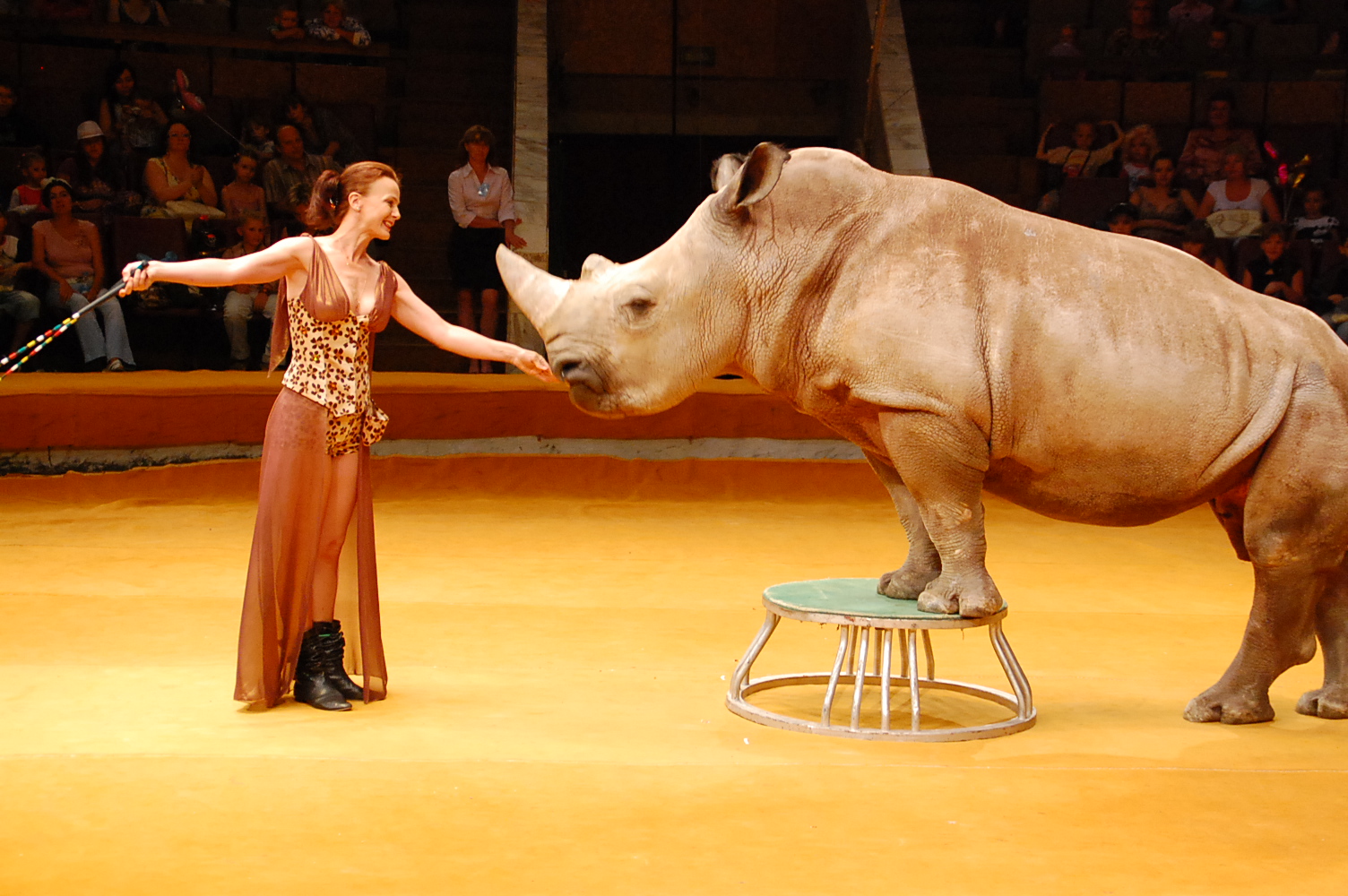 真正的俄罗斯大马戏,俄罗斯看演出