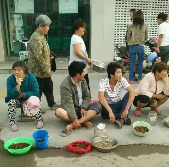 徐州某集市卖“姐喽龟”的，这场面你见过吗？