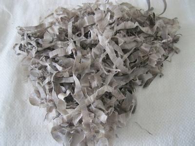 你绝对不敢玩的文玩宝贝，40名荷枪实弹的士兵日夜守护！