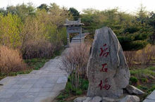 天下名山第一峰书法,中国书法之乡第一名