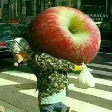 优秀军改转业干部代表分享经验,一位转业干部感悟