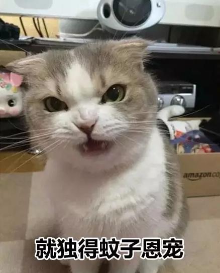 皇上快把臣妾打入冷宫小说,皇上把我打入冷宫吧