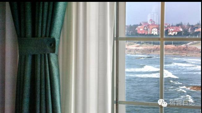 没去青岛也能看到海鸥,没去青岛的人对这个城市的印象