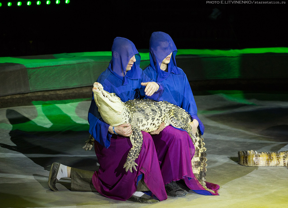 真正的俄罗斯大马戏,俄罗斯看演出