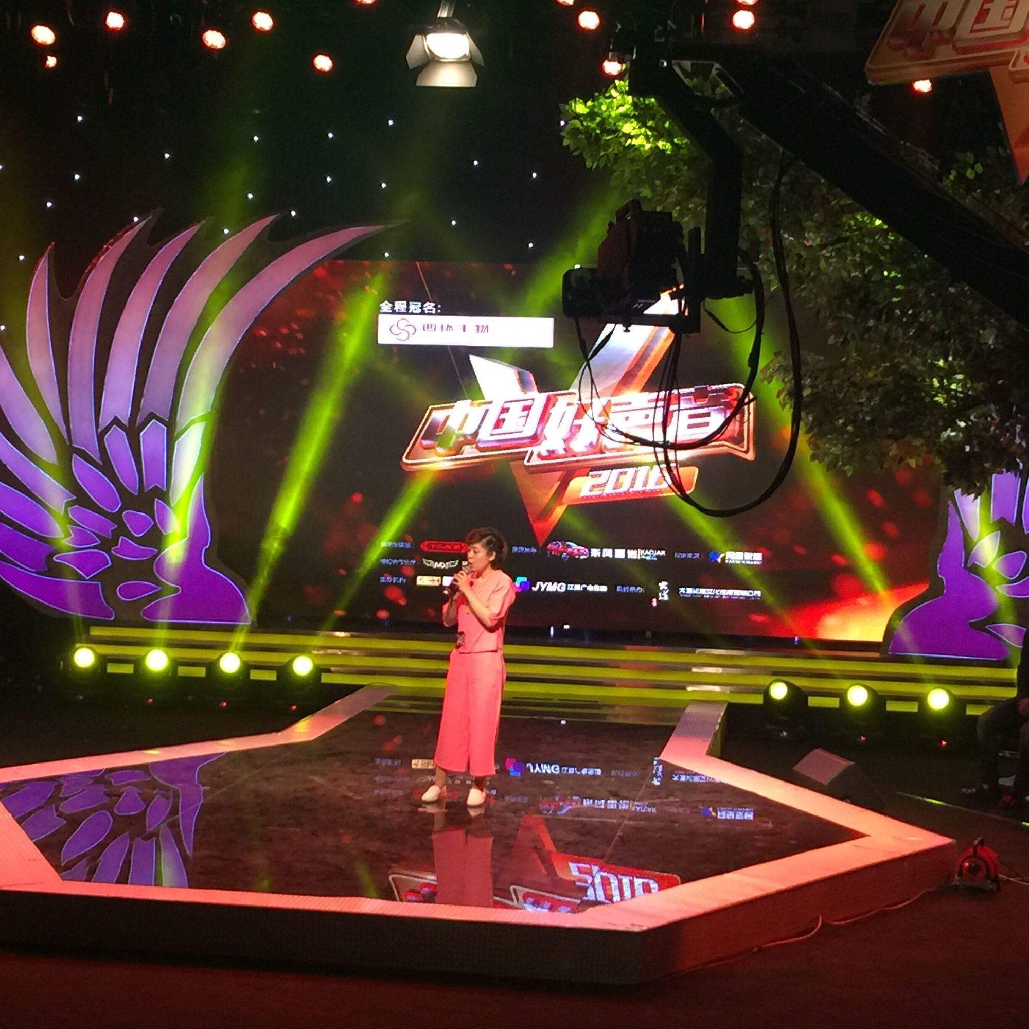 中国好声音我截至花儿也谢了女声,中国好声音我截至花儿也谢了