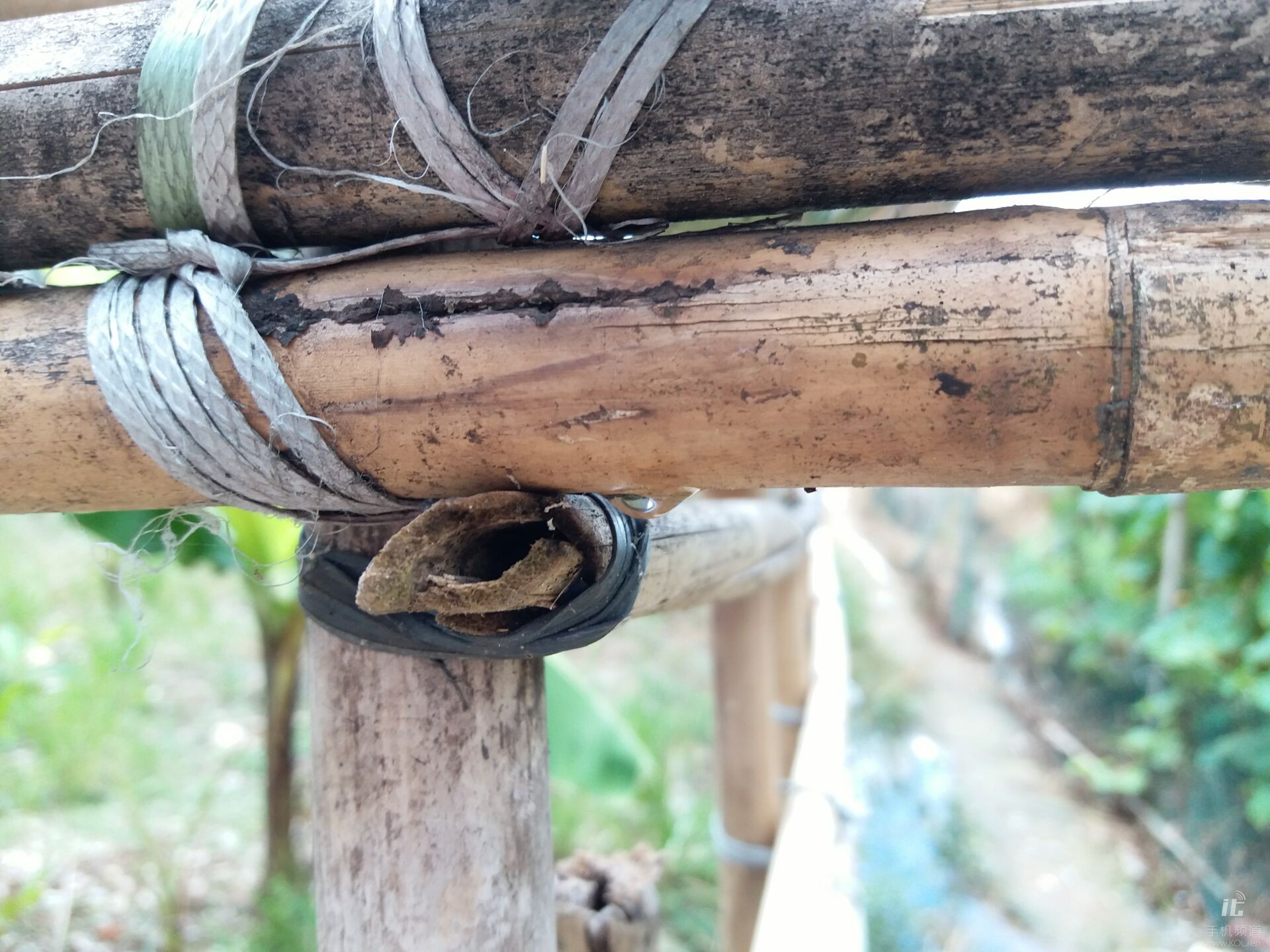 三星galaxyc55小白测评,三星galaxyc5价格及参数配置