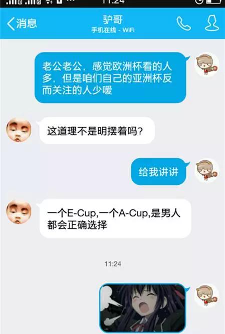 新的欧洲杯,欧洲杯新赛季足球