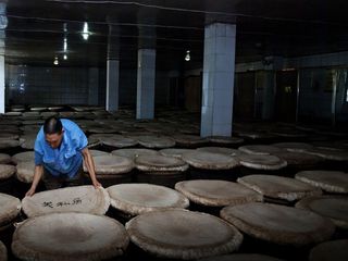 神奇的小方治大病,食疗方治日常小病有奇招