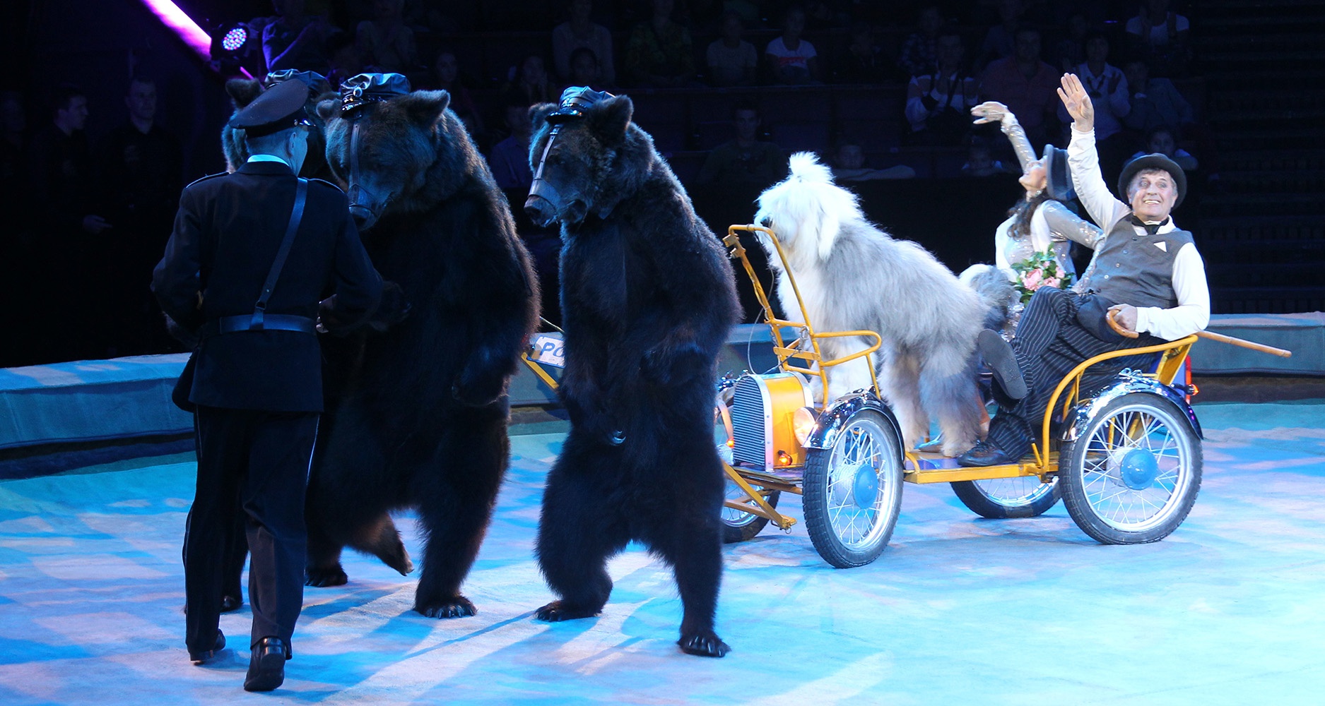 真正的俄罗斯大马戏,俄罗斯看演出