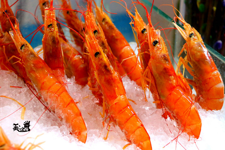 看花样男子去哪里看,深海八百米海鲜自助