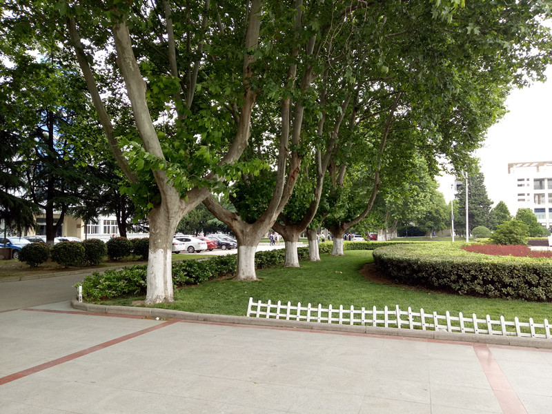 oppor9pro手机使用真实感受,oppor9欣赏