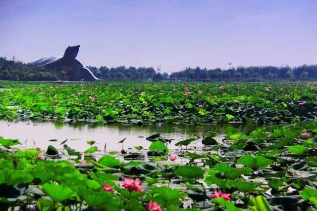 天津周边比较小众的旅游景点,天津周边游小众景点推荐