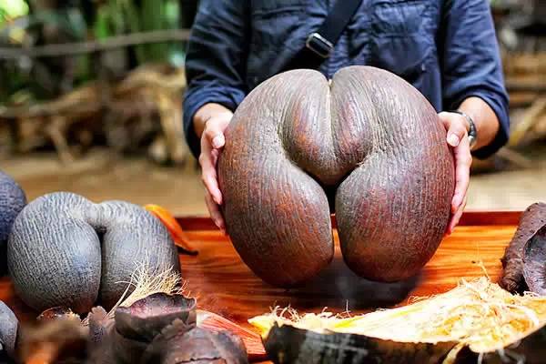 比马尔代夫还美的地方,比马尔代夫还美的国内海岛