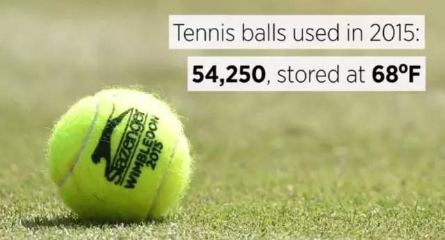 温网百年庆典中文解说,百年温网