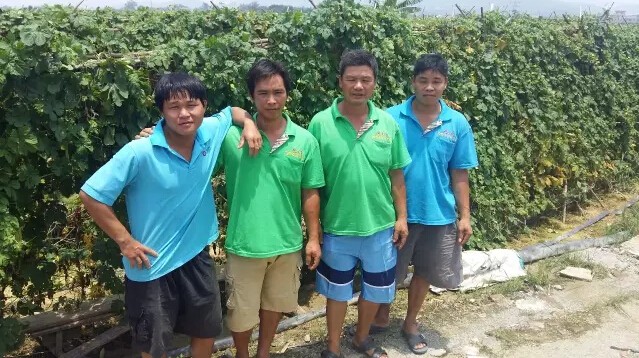 婀栧寳鏋濇睙涓夊畞,婀栧寳涓夊畞濂藉悧