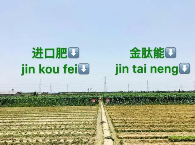 婀栧寳鏋濇睙涓夊畞,婀栧寳涓夊畞濂藉悧