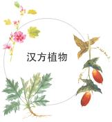 奥尔滨黛珂,奥尔滨和黛珂哪个更好