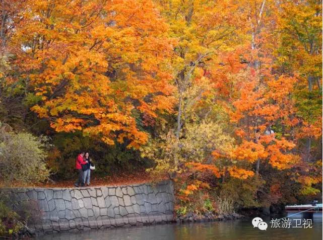 胡歌霍建华最美的场景视频,胡歌霍建华冬天游玩
