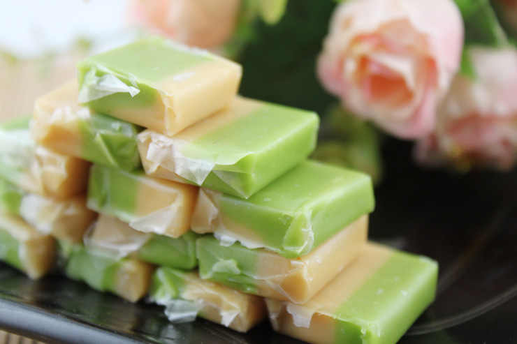 越南签证所需资料,越南旅游签证2024