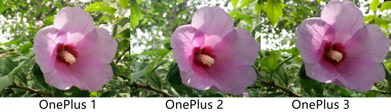 旗舰杀手手机,旗舰杀手红米