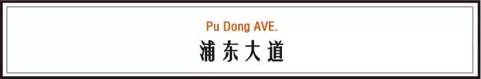 浦东一套房多少钱40平左右,浦东一套房不如浦西一张床