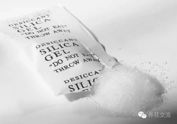 干花制作后怎么用,玫瑰干花怎么做成手工永久保存