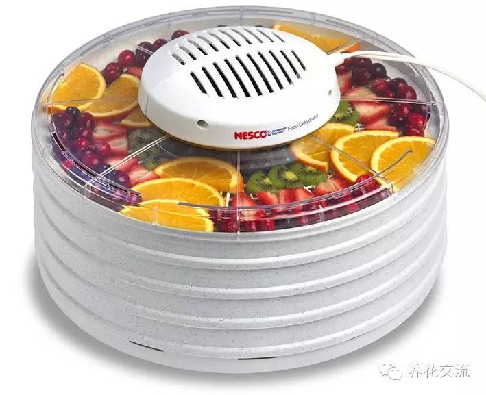 干花制作后怎么用,玫瑰干花怎么做成手工永久保存