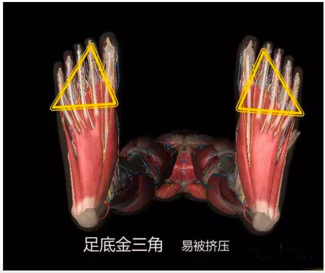 人体有八大危险三角区你应该知道,人体最危险的三角区
