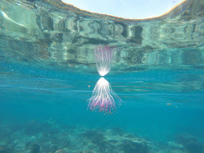 马来半岛岛屿分布图,马来半岛东侧岛屿介绍