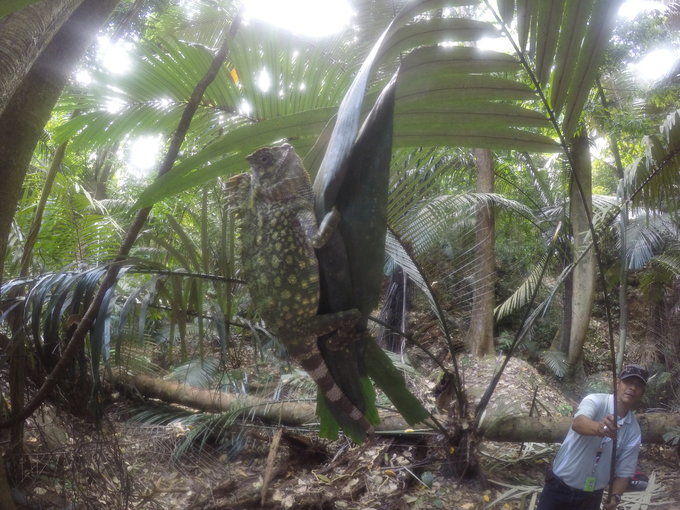 马来半岛岛屿分布图,马来半岛东侧岛屿介绍