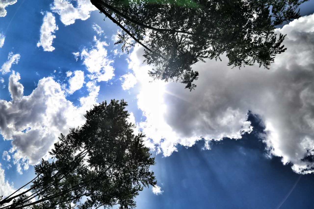 走近2016鄂尔多斯高考状元爆料独家学习秘籍！